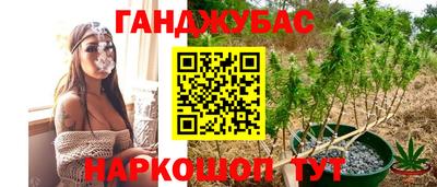 mix Кингисепп
