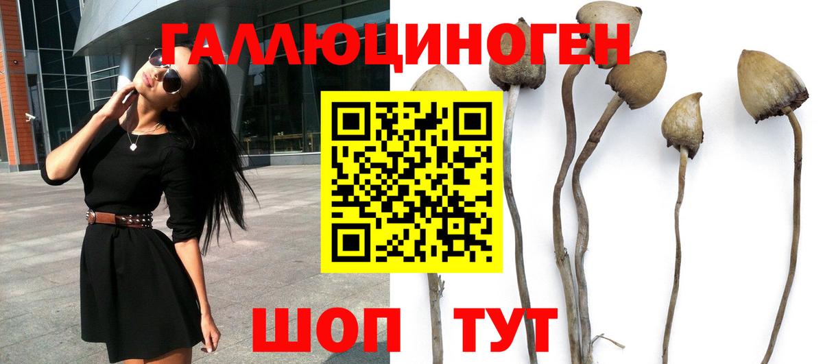 Галлюциногенные грибы прущие грибы Королёв